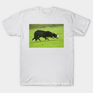 Working Sheepdog T-Shirt